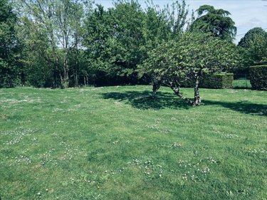 Terrain a batir a vendre Niort 79000 Deux-Sèvres 1125 m2  106312 euros