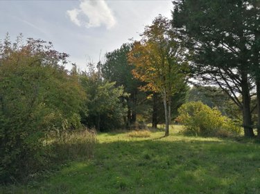 Maison a vendre Civray-sur-Esves 37160 Indre-et-Loire 78 m2 3 pièces 57750 euros