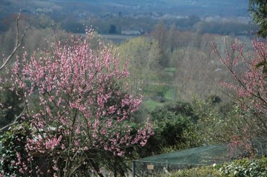 Maison a vendre Cravant-les-Côteaux 37500 Indre-et-Loire 169 m2 7 pièces 294000 euros
