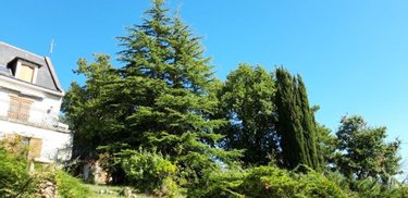 Maison a vendre Cravant-les-Côteaux 37500 Indre-et-Loire 169 m2 7 pièces 294000 euros
