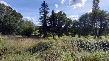 Terrain a batir a vendre Poullaouen 29246 Finistère 3420 m2  27500 euros