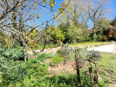 Terrain a batir a vendre Bourgneuf 17220 Charente-Maritime 1059 m2  270400 euros