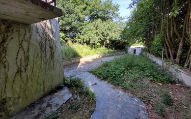 Maison a vendre Landeleau 29530 Finistère 40 m2 3 pièces 22500 euros