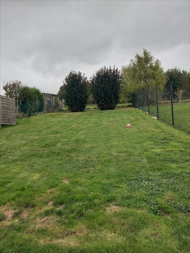 Maison a vendre Brachy 76730 Seine-Maritime 60 m2 4 pièces 135000 euros