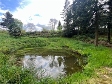 Terrains de loisirs bois etangs a vendre Châteauneuf-du-Faou 29520 Finistère 38444 m2  74900 euros