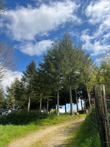 Terrains de loisirs bois etangs a vendre Châteauneuf-du-Faou 29520 Finistère 38444 m2  74900 euros