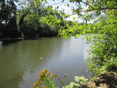 Maison a vendre Faverney 70160 Haute-Saône 300 m2 11 pièces 81000 euros