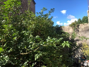 Maison a vendre Montfarville 50760 Manche 40 m2 3 pièces 79040 euros