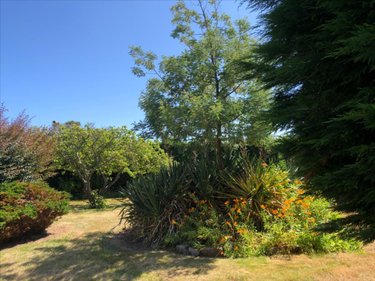 Maison a vendre Gatteville-le-Phare 50760 Manche 128 m2 6 pièces 292000 euros