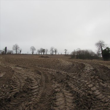 Bien agricole a vendre Chérencé-le-Héron 50800 Manche  37520 euros