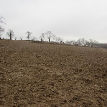 Bien agricole a vendre Chérencé-le-Héron 50800 Manche  37520 euros