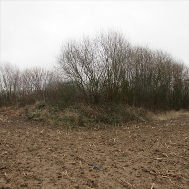 Bien agricole a vendre Chérencé-le-Héron 50800 Manche  37520 euros
