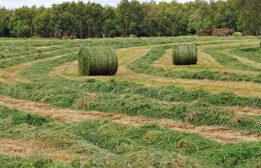 Bien agricole a vendre Clairfontaine 02260 Aisne  45432 euros