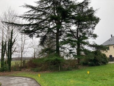 Terrain a batir a vendre Saint-Pierre-de-Manneville 76113 Seine-Maritime 700 m2  75000 euros