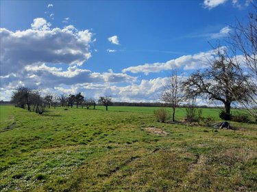 Maison a vendre Poulaines 36210 Indre 70 m2 3 pièces 55900 euros