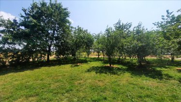 Maison a vendre Anjouin 36210 Indre 80 m2 4 pièces 96750 euros