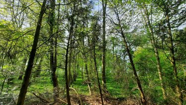 Bien agricole a vendre Levroux 36110 Indre  2967000 euros