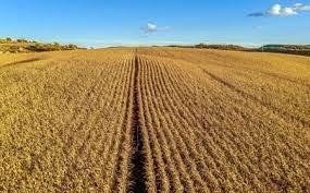 Bien agricole a vendre Levroux 36110 Indre  2967000 euros