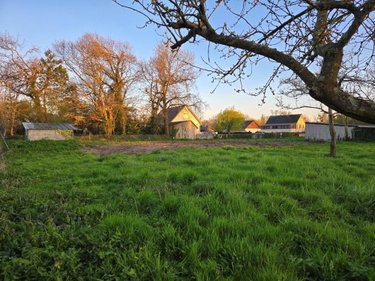 Terrain a batir a vendre Gouville-sur-Mer 50560 Manche 2900 m2  313000 euros