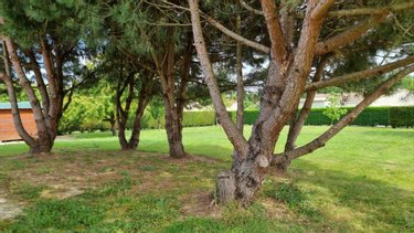 Maison a vendre Jonzac 17500 Charente-Maritime 110 m2 5 pièces 210000 euros