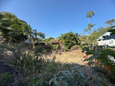 Terrain a batir a vendre Saint-Joseph 97480 Réunion 425 m2  110775 euros