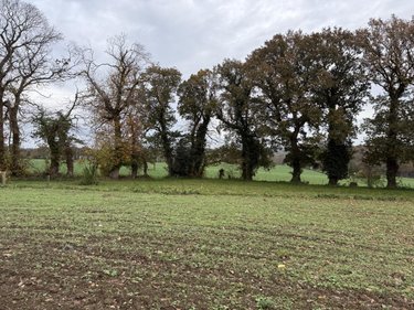 Maison a vendre Saint-Thélo 22460 Côtes-d'Armor 148 m2 5 pièces 146480 euros