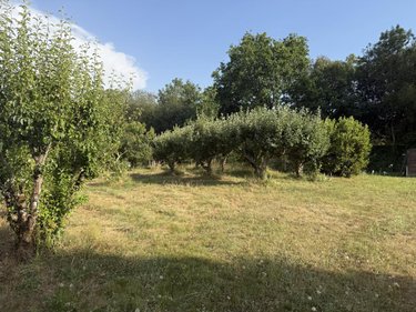 Terrains de loisirs bois etangs a vendre La Chaize-Giraud 85220 Vendée 3268 m2  21400 euros