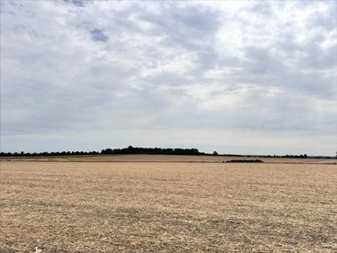 Maison a vendre Prinçay 86420 Vienne 90 m2 3 pièces 105300 euros