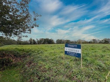 Terrain a batir a vendre Fouesnant 29170 Finistère 1163 m2  319000 euros