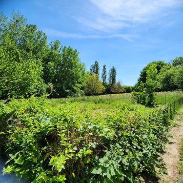Maison a vendre Saint-Célerin 72110 Sarthe 80 m2 3 pièces 110250 euros