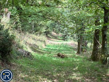 Maison a vendre Argentré 53210 Mayenne 287 m2  322400 euros