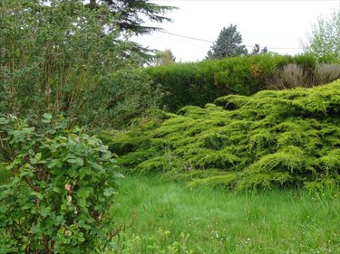 Maison a vendre Lailly-en-Val 45740 Loiret 75 m2 3 pièces 157200 euros