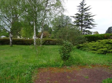 Maison a vendre Lailly-en-Val 45740 Loiret 75 m2 3 pièces 157200 euros