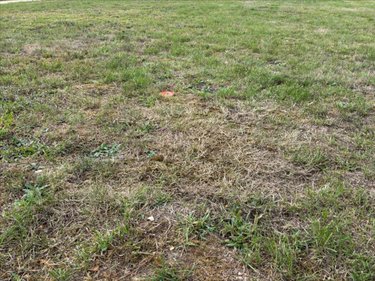 Terrain a batir a vendre Les Damps 27340 Eure 611 m2  85000 euros