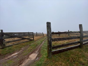 Bien agricole a vendre Collandres 15400 Cantal  777000 euros