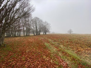 Bien agricole a vendre Collandres 15400 Cantal  777000 euros