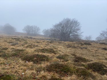 Bien agricole a vendre Collandres 15400 Cantal  777000 euros