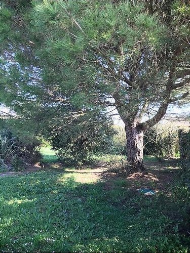 Maison a vendre Port-des-Barques 17730 Charente-Maritime 116 m2 5 pièces 345840 euros