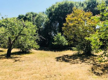 Maison a vendre Nieul-sur-Mer 17137 Charente-Maritime 115 m2 7 pièces 471600 euros