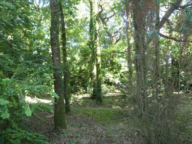 Maison a vendre Lannéanou 29640 Finistère 75 m2 4 pièces 94072 euros