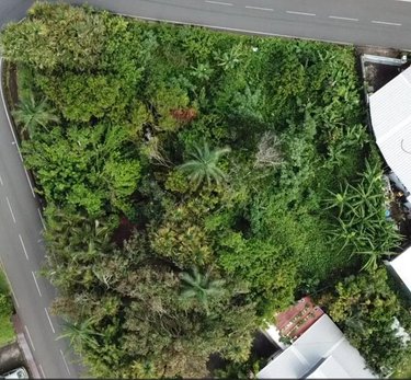 Terrain a batir a vendre Saint-Joseph 97480 Réunion 987 m2  151709 euros