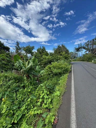 Terrain a batir a vendre Saint-Joseph 97480 Réunion 987 m2  151709 euros