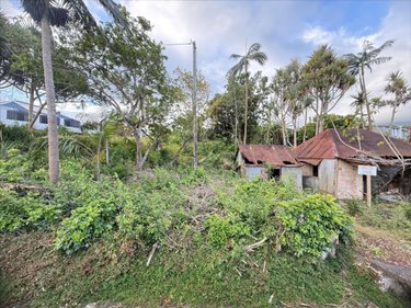 Terrain a batir a vendre Saint-Joseph 97480 Réunion 987 m2  151709 euros