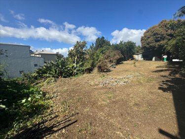 Terrain a batir a vendre Le Tampon 97430 Réunion 1290 m2  226800 euros