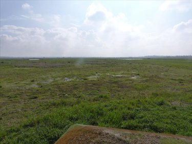 Terrains de loisirs bois etangs a vendre Saint-André-de-Bohon 50500 Manche 29045 m2  74320 euros