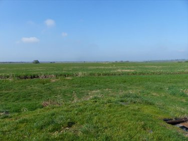 Terrains de loisirs bois etangs a vendre Saint-André-de-Bohon 50500 Manche 29045 m2  74320 euros