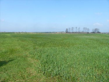 Terrains de loisirs bois etangs a vendre Saint-André-de-Bohon 50500 Manche 29045 m2  74320 euros