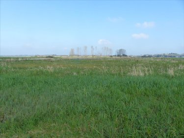 Terrains de loisirs bois etangs a vendre Saint-André-de-Bohon 50500 Manche 29045 m2  74320 euros