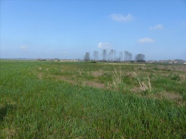 Terrains de loisirs bois etangs a vendre Saint-André-de-Bohon 50500 Manche 29045 m2  74320 euros