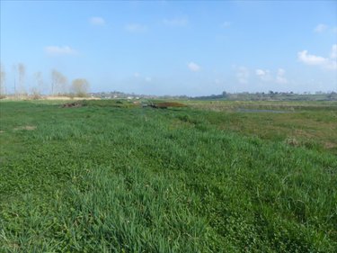 Terrains de loisirs bois etangs a vendre Saint-André-de-Bohon 50500 Manche 29045 m2  74320 euros